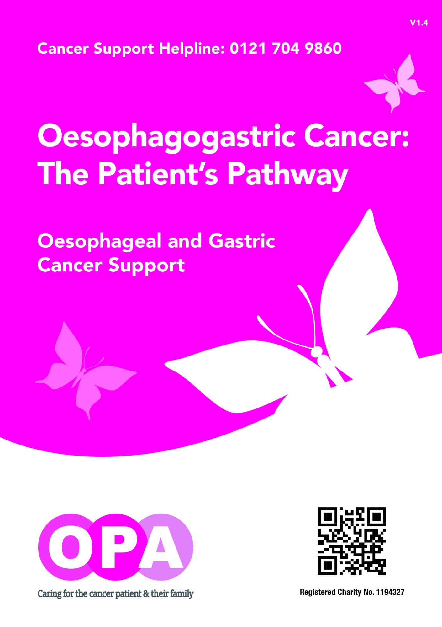 The Patient's Pathway The Patient's Pathway